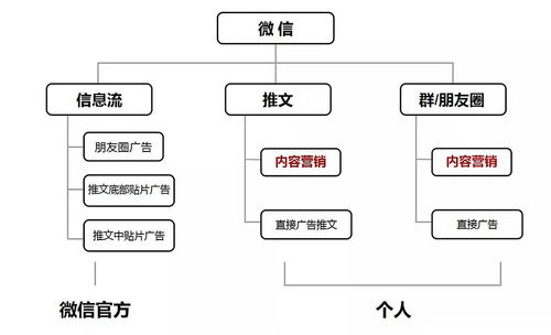 冷蕓時尚圈日報 第270期 教育與行業(yè)趨勢的深度思考
