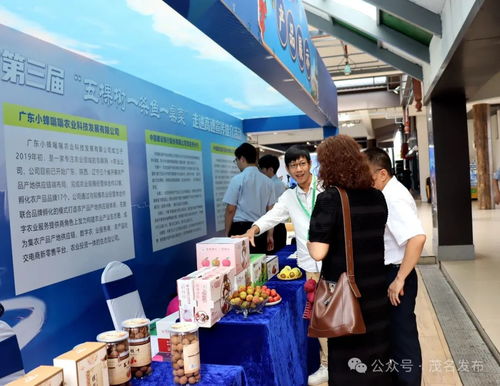 茂名鄉(xiāng)村振興出圈出彩，茂湛高速服務區(qū)變身農(nóng)特產(chǎn)墟市與票務代理服務